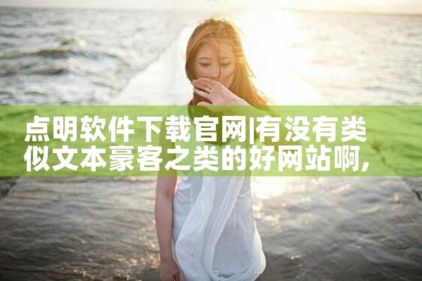 点明软件下载官网