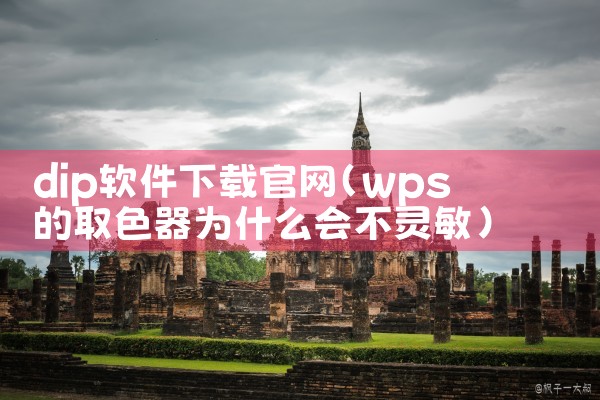 dip软件下载官网