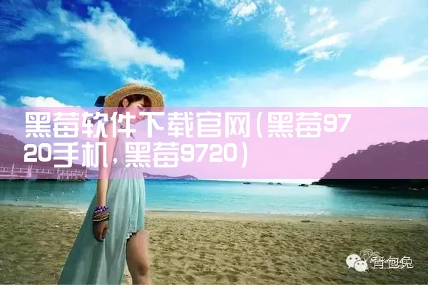 黑莓软件下载官网