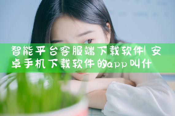 智能平台客服端下载软件