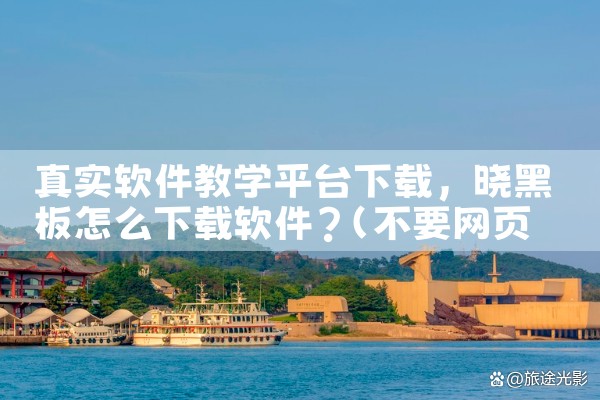 真实软件教学平台下载