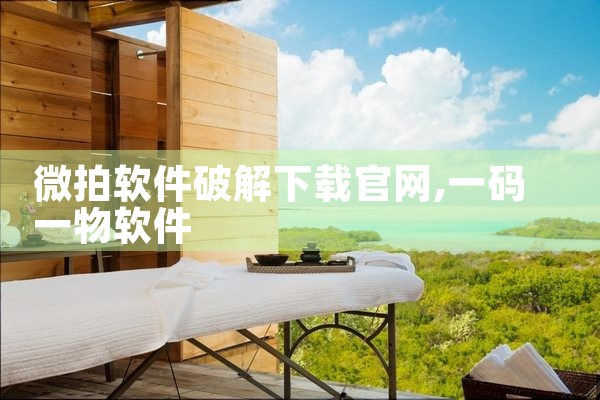 微拍软件破解下载官网
