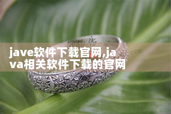 jave软件下载官网