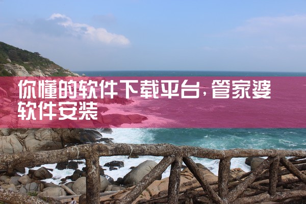 你懂的软件下载平台