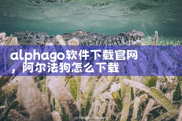alphago软件下载官网