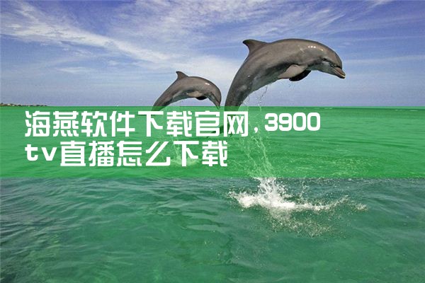海燕软件下载官网