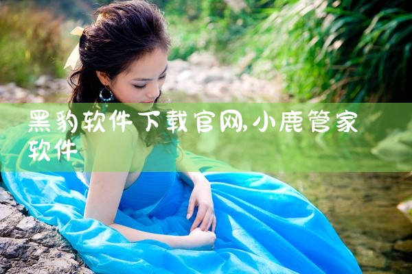 黑豹软件下载官网